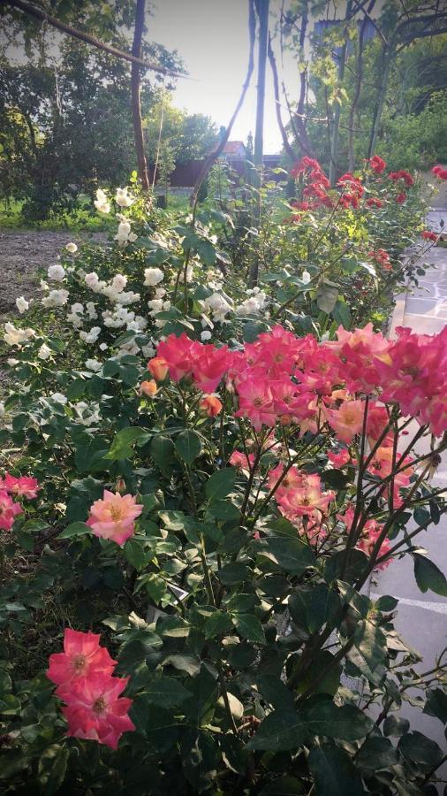 Ekas Rosengarten 哥里 外观 照片