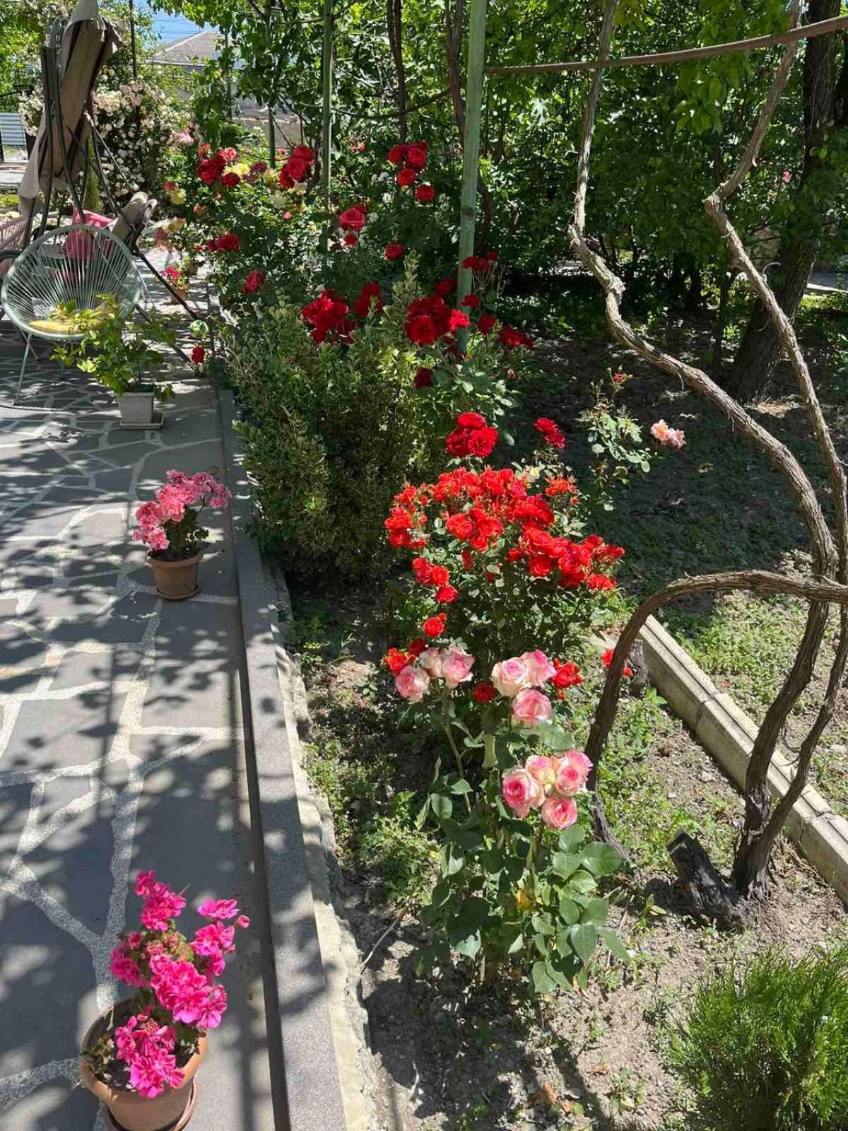 Ekas Rosengarten 哥里 外观 照片